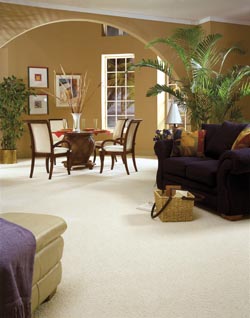 Carpet Flooring Hilo HI